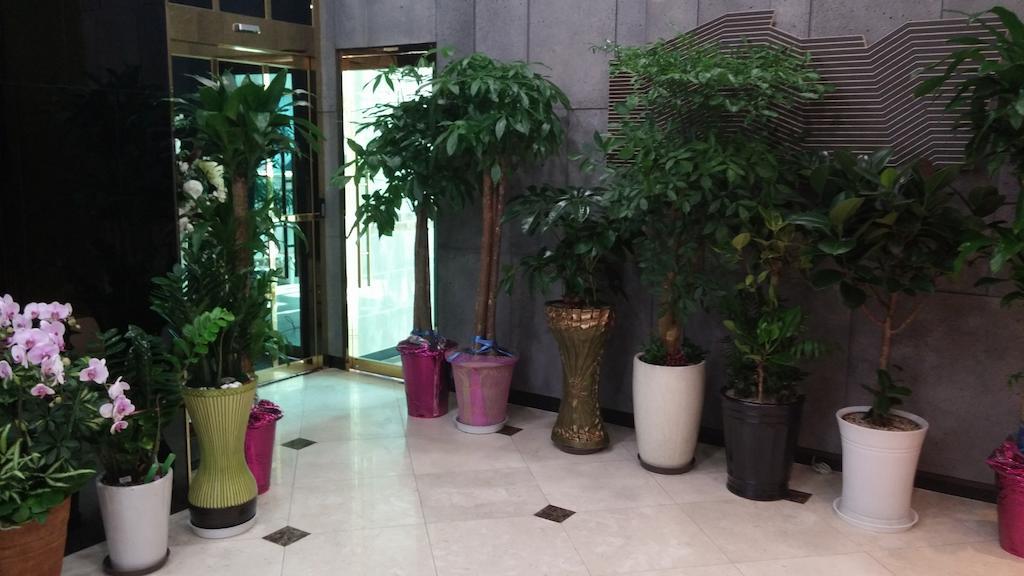Coop City Hotel Oryu Station Seoul Eksteriør billede